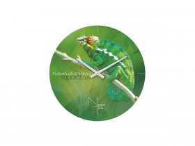 Часы настенные Nicole Time NT503 в Черепаново - cherepanovo.mebel-nsk.ru | фото